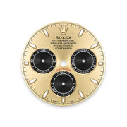 Daytona Gold Dial Multi Functional